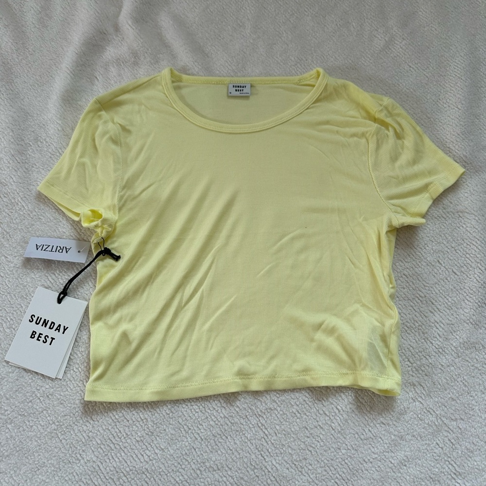 Aritzia cropped t-shirt